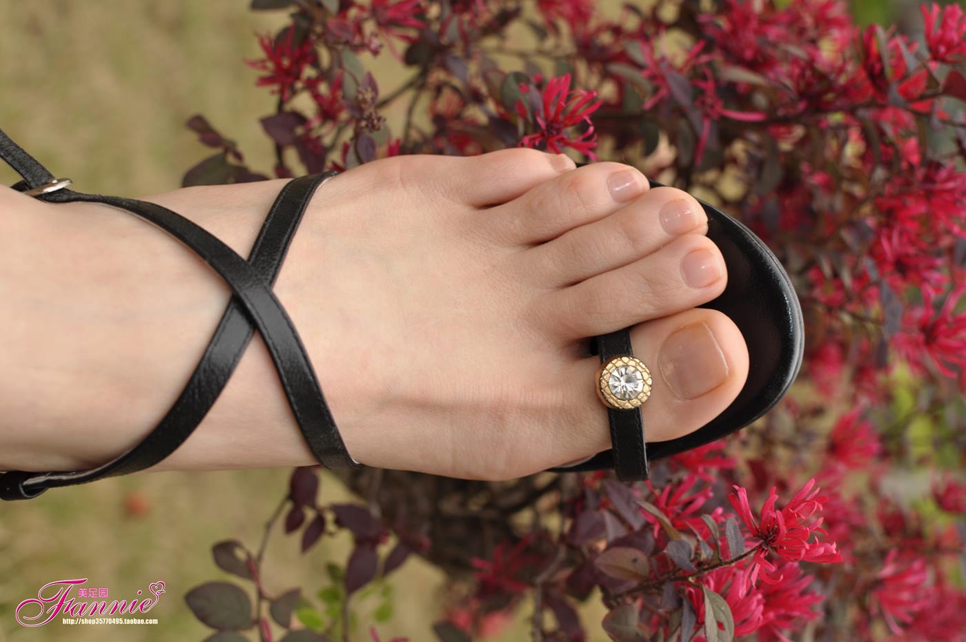 图片[68]-Fannie芬妮每足园 No.080 触摸阳光5 [73P] – 速更版-美库