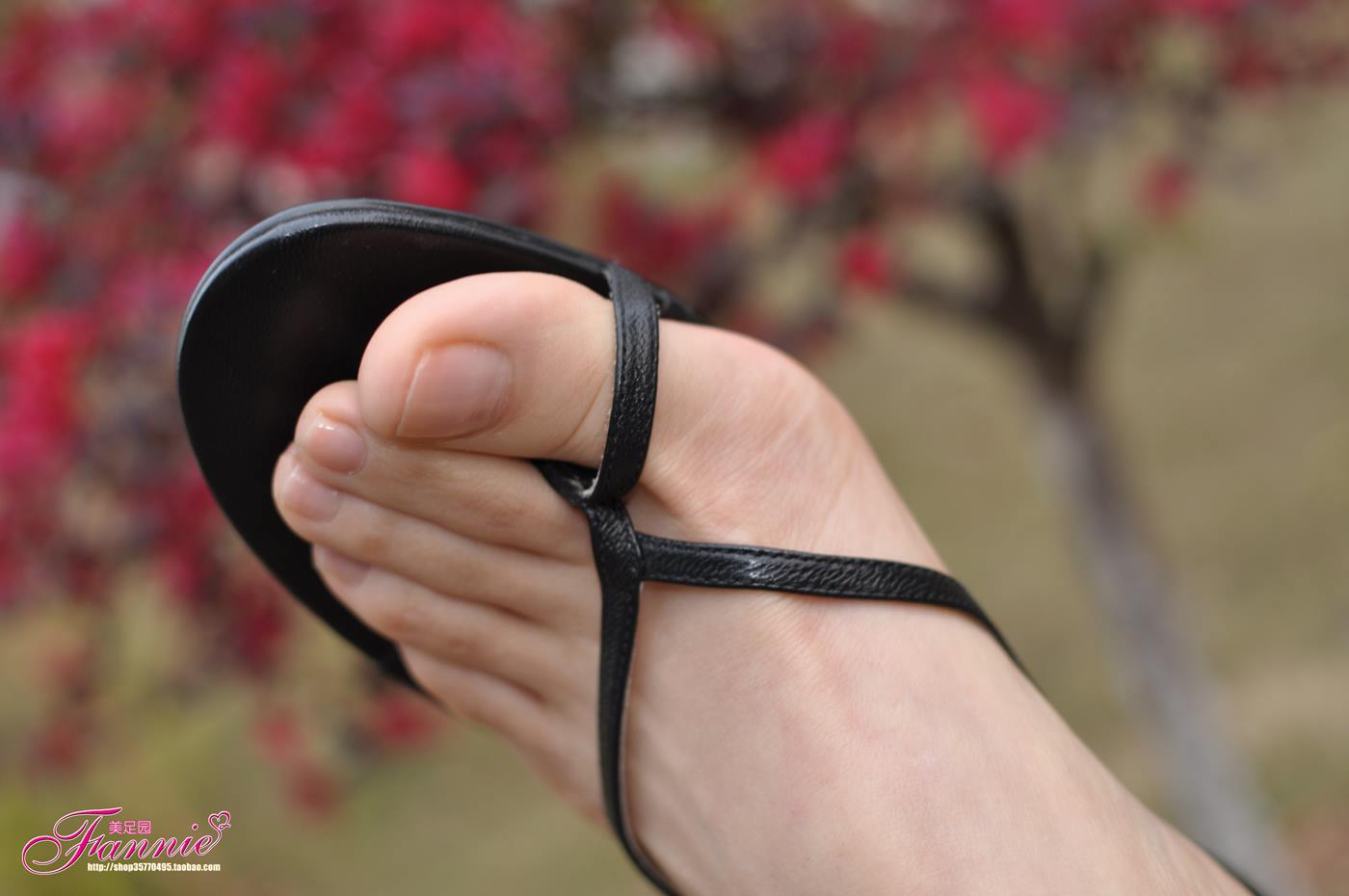 图片[18]-Fannie芬妮每足园 No.082 触摸阳光7 [71P] – 速更版-美库