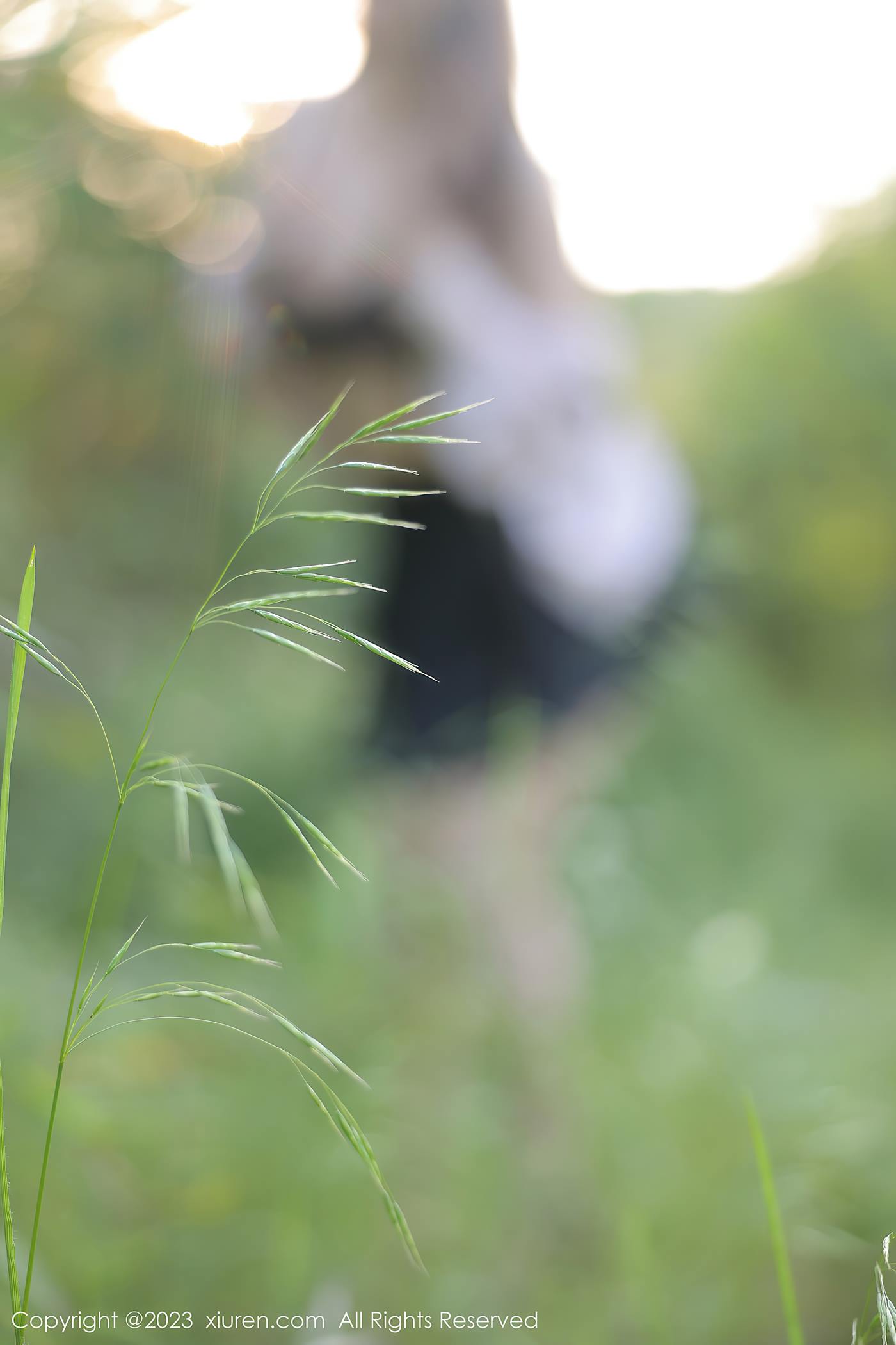 图片[22]-[Xiuren秀人网]2023.05.11 NO.6721 江真真[55+1P] – 速更版-美库