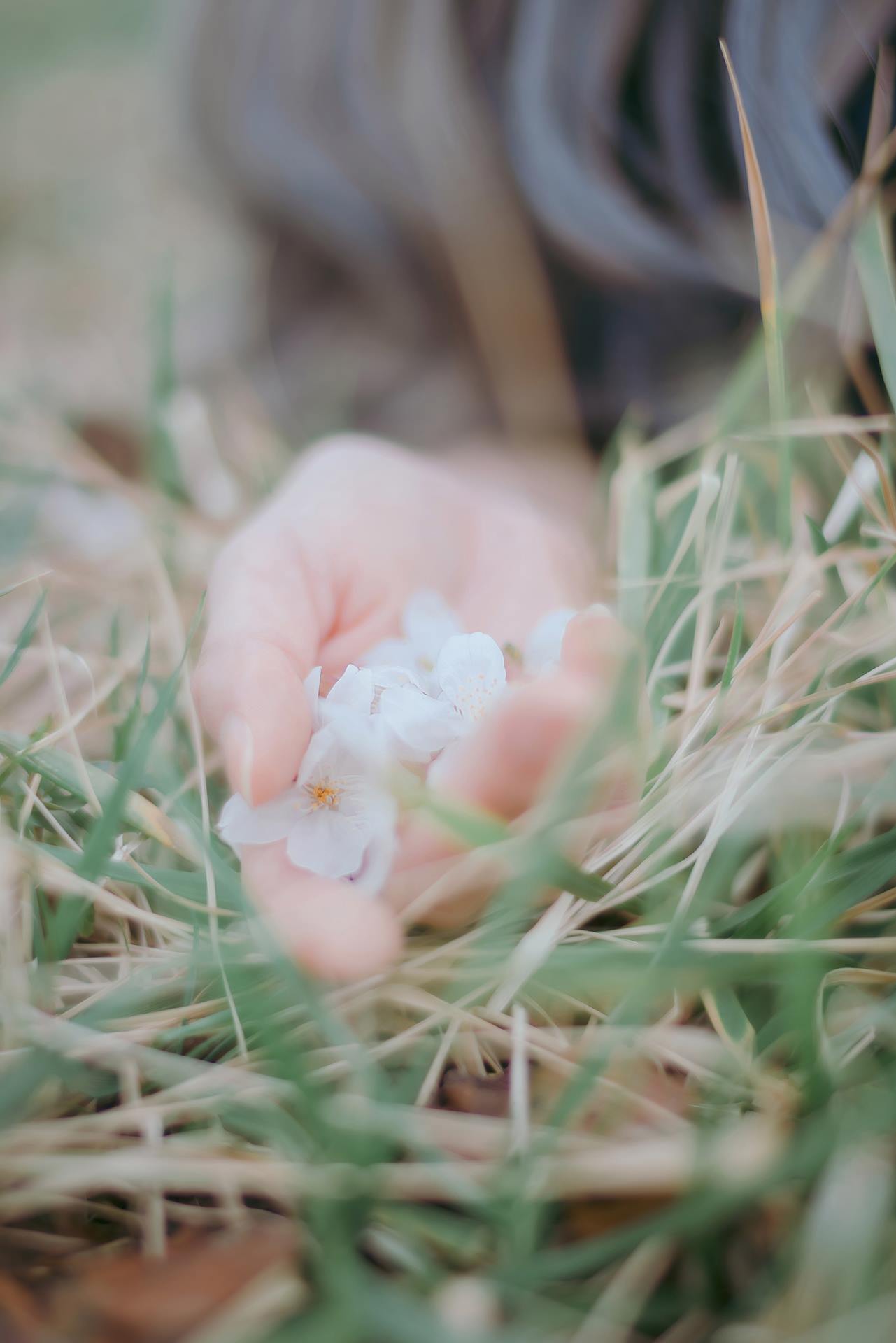 图片[15]-Ely_eee(ElyEE子)  – Sakura[64P] – 速更版-美库