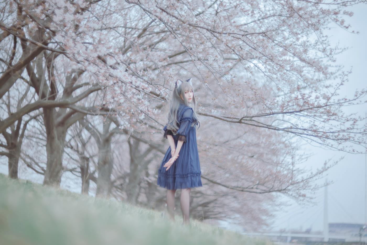 图片[17]-Ely_eee(ElyEE子)  – Sakura[64P] – 速更版-美库