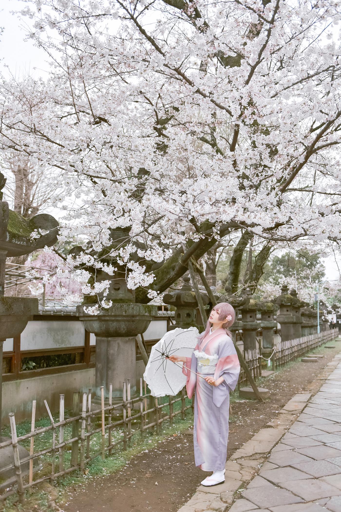 图片[49]-Ely_eee(ElyEE子)  – Sakura[64P] – 速更版-美库