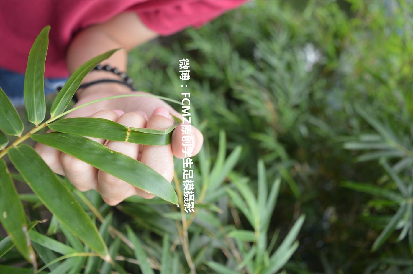 图片[59]-FCMZ原创学生足模摄影 No.030 萝卜 [128P] – 速更版-美库