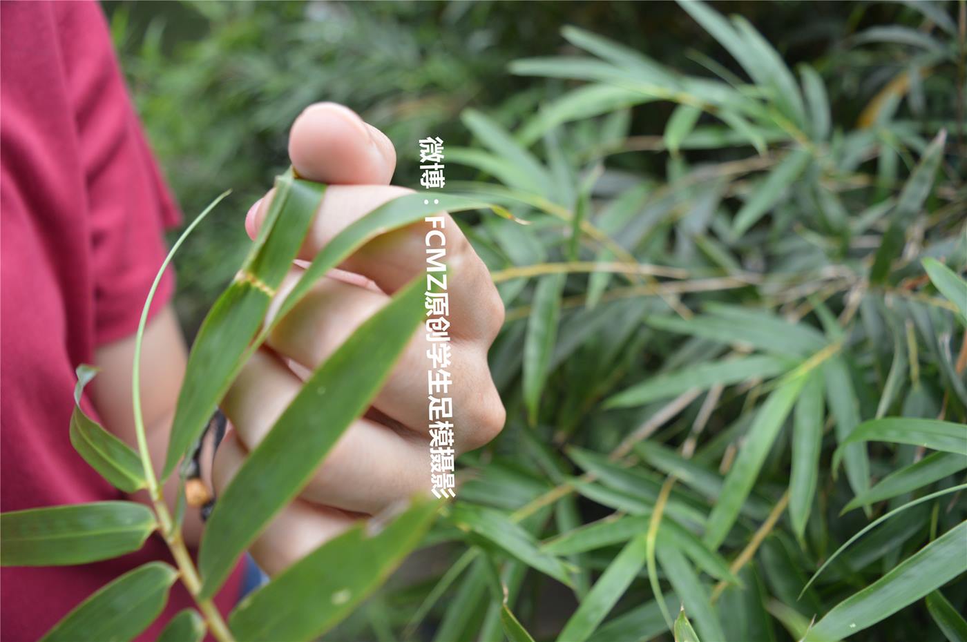 图片[60]-FCMZ原创学生足模摄影 No.030 萝卜 [128P] – 速更版-美库