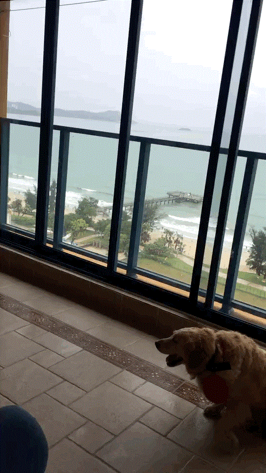 图片[14]-凛子酱  – 微博写真合集 2017WB [57P] – 速更版-美库