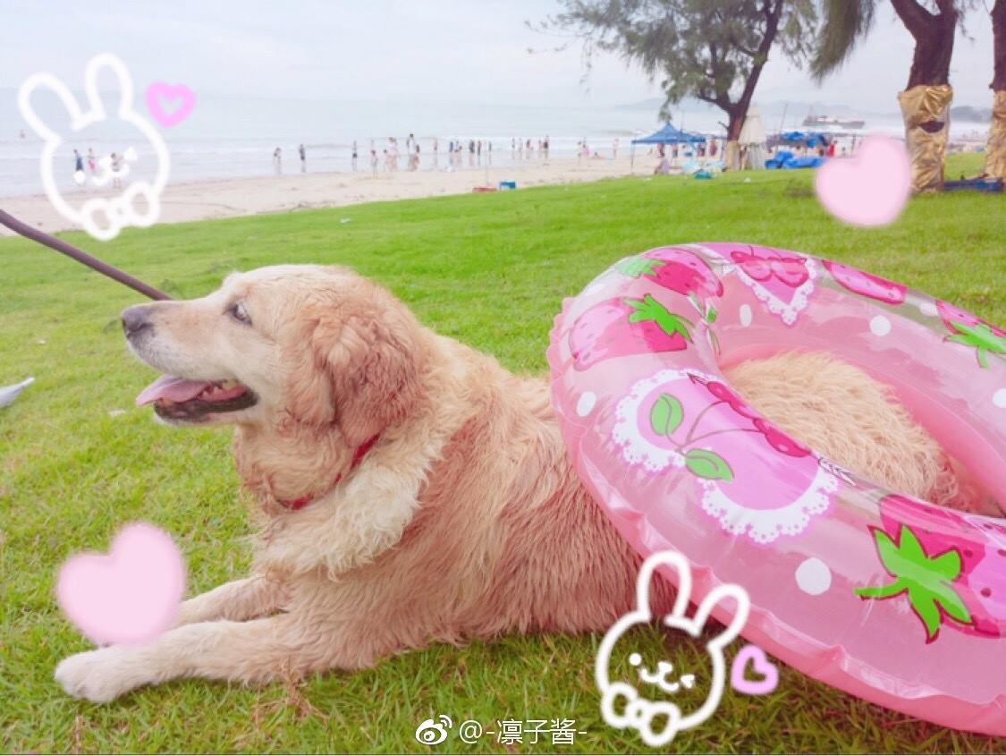 图片[17]-凛子酱  – 微博写真合集 2017WB [57P] – 速更版-美库