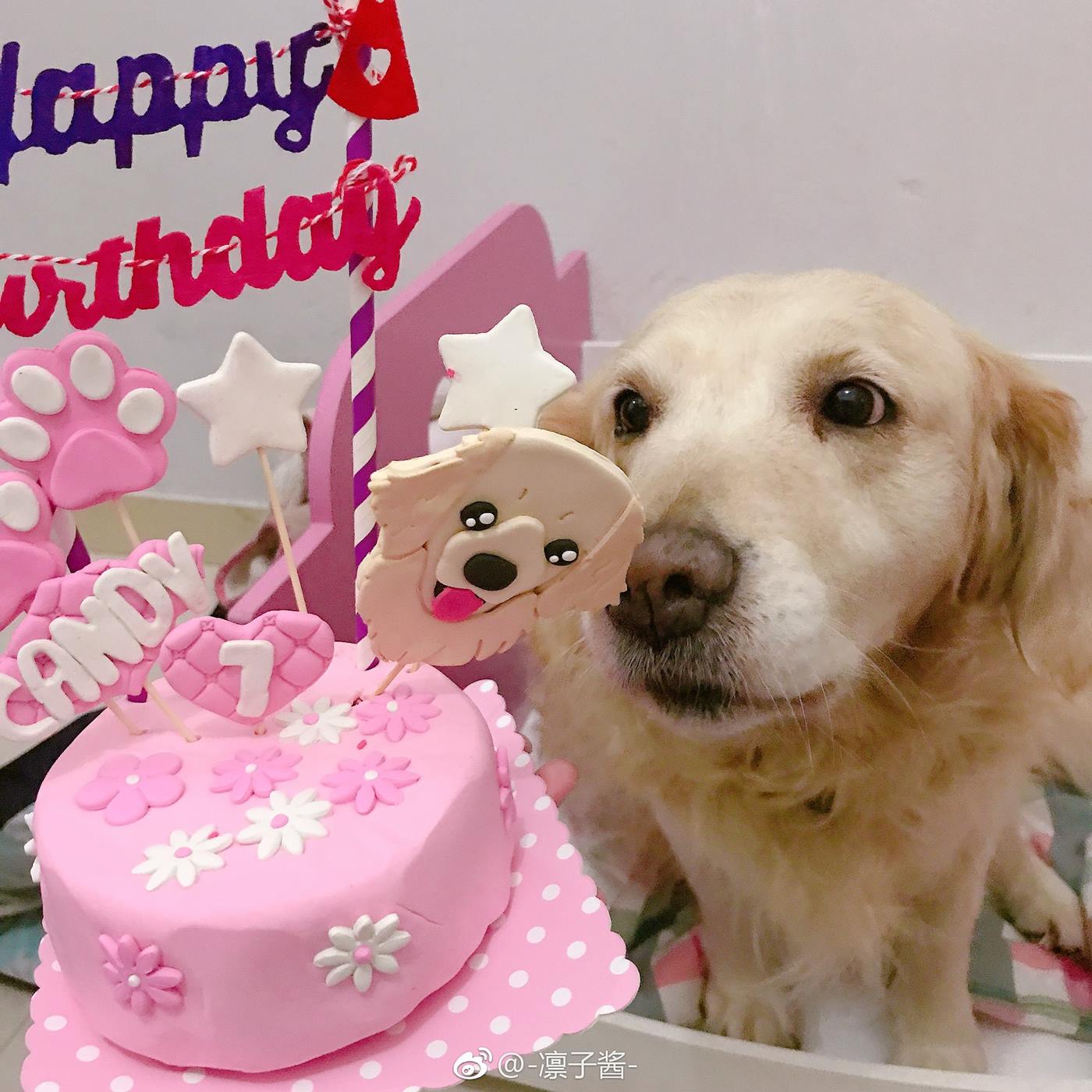 图片[72]-凛子酱  – 微博写真合集 2018WB [78P] – 速更版-美库