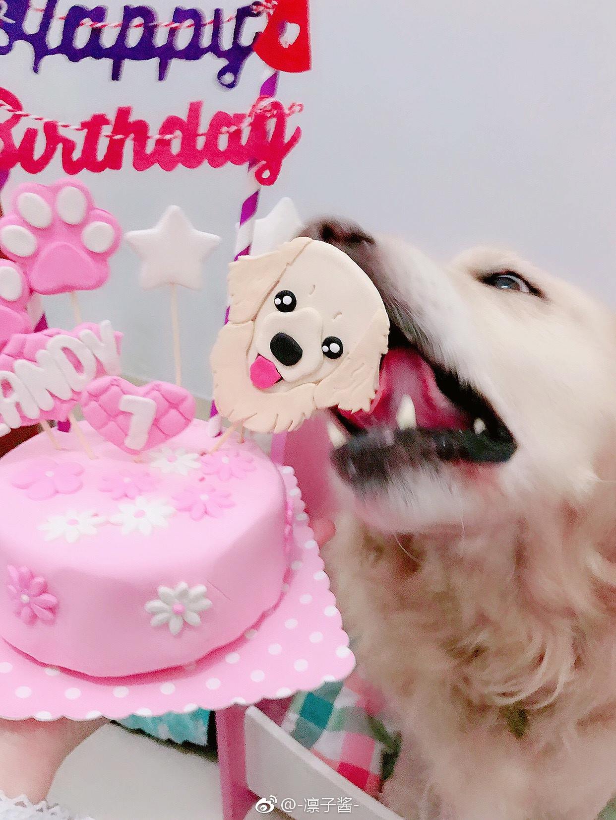 图片[74]-凛子酱  – 微博写真合集 2018WB [78P] – 速更版-美库