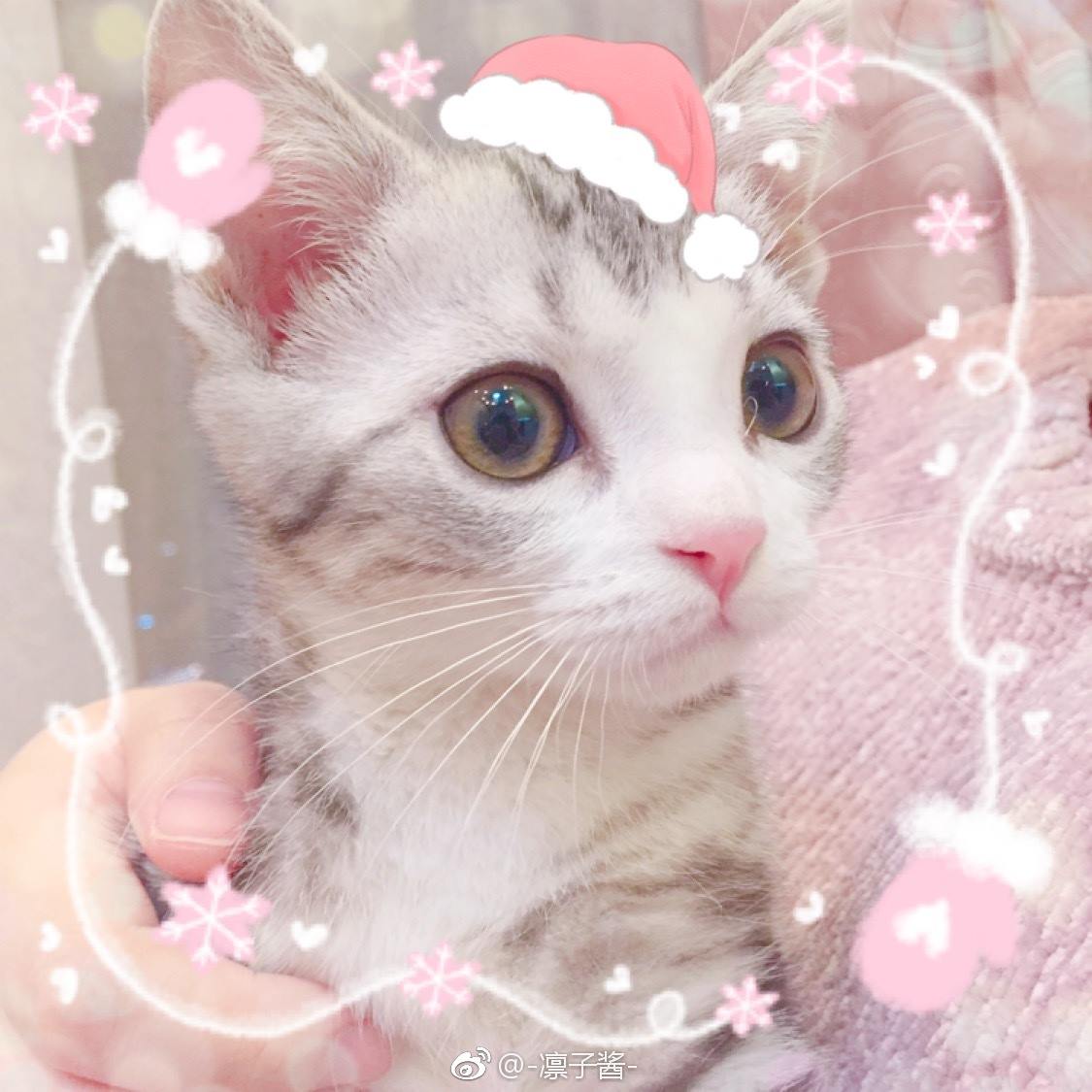 图片[75]-凛子酱  – 微博写真合集 2018WB [78P] – 速更版-美库