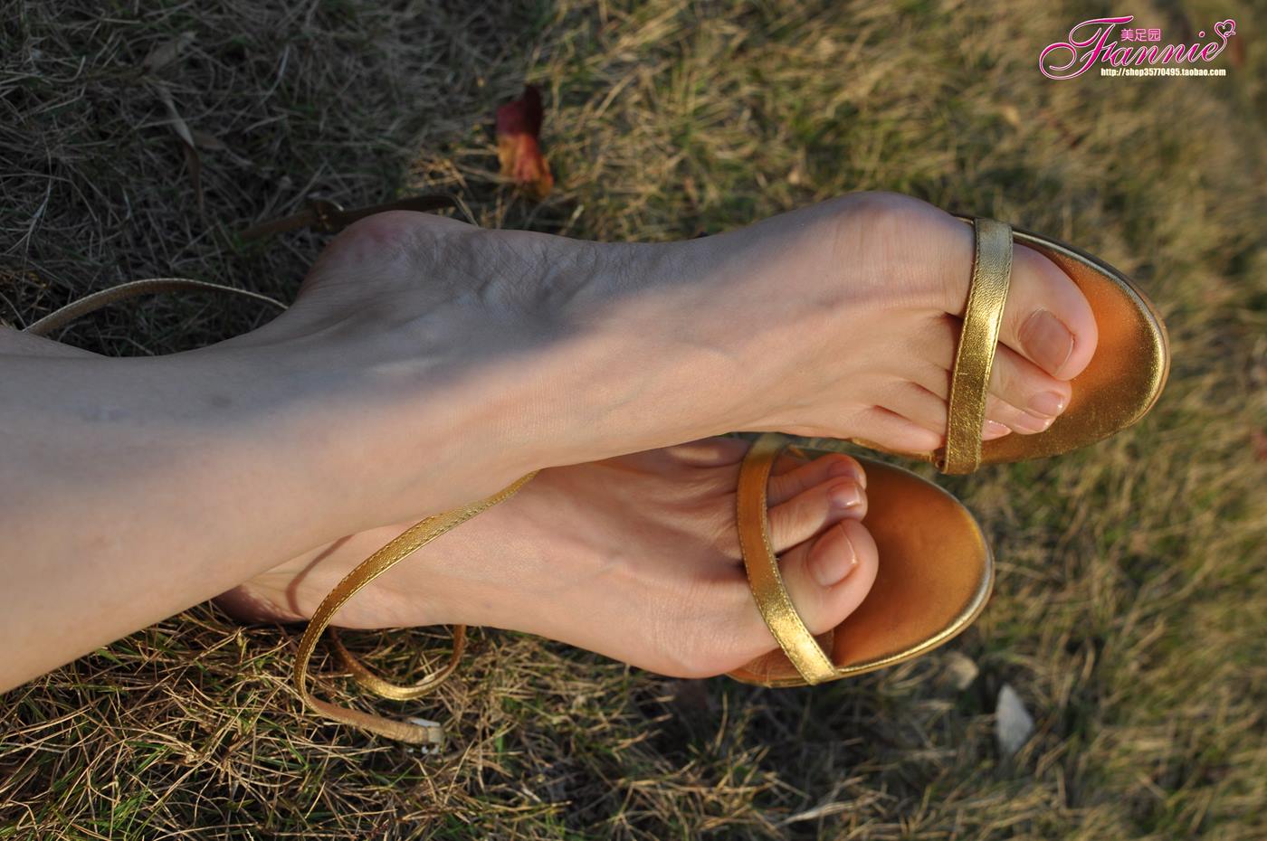 图片[33]-Fannie芬妮每足园 No.084 触摸阳光9 [51P] – 速更版-美库