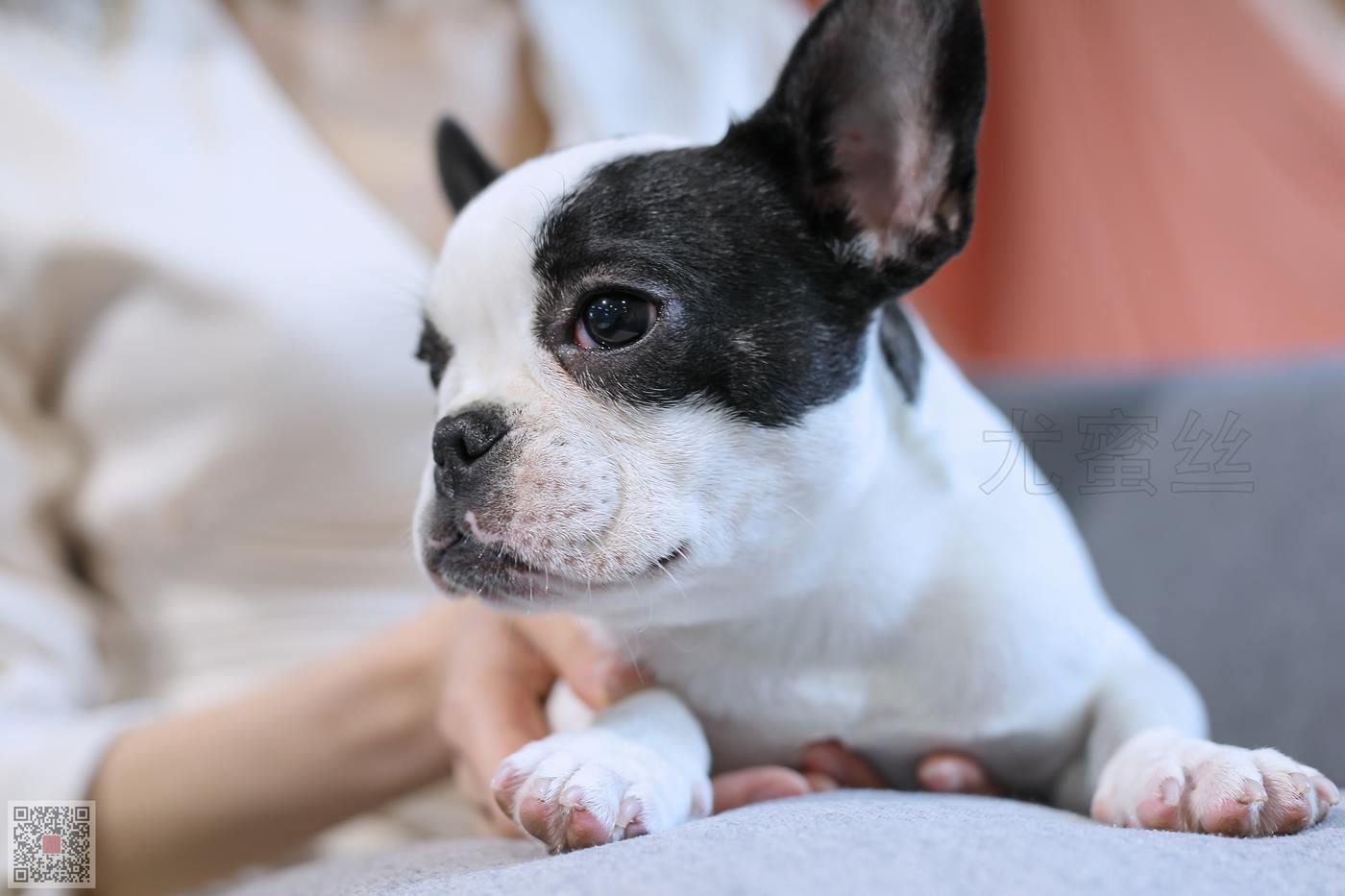 图片[87]-尤密思 No.020 穿搭推广展示图集 [141P] – 速更版-美库