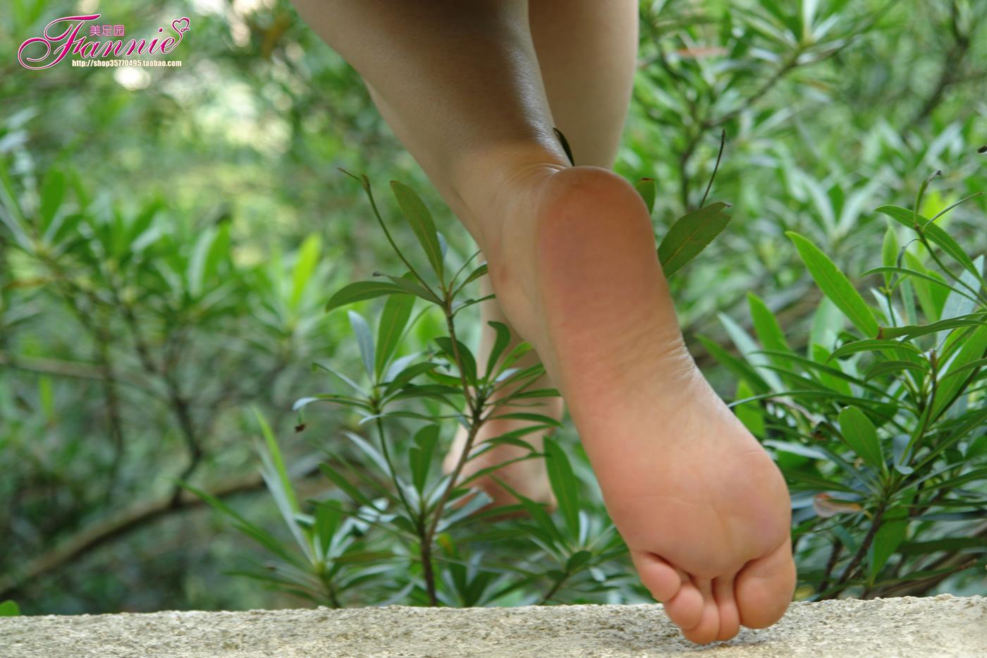 图片[17]-Fannie芬妮每足园 No.090 穿过绿荫 [36P] – 速更版-美库