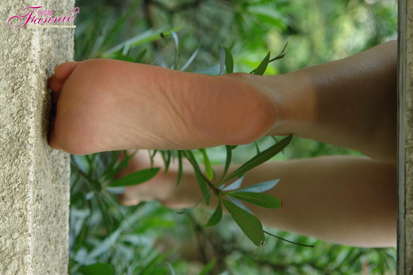 图片[18]-Fannie芬妮每足园 No.090 穿过绿荫 [36P] – 速更版-美库