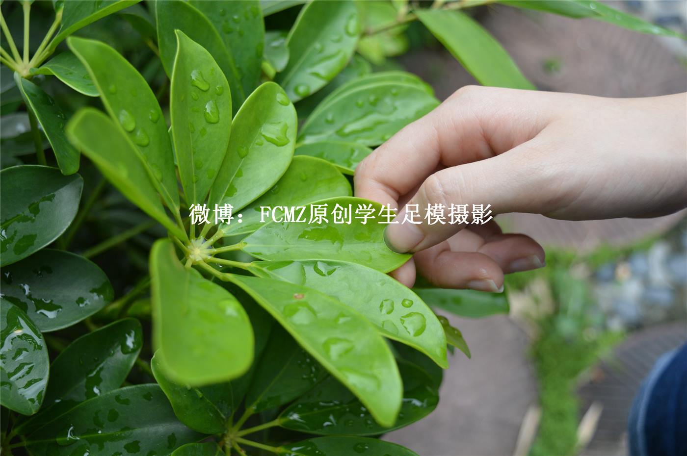 图片[45]-FCMZ原创学生足模摄影 No.033 苗苗 [174P] – 速更版-美库