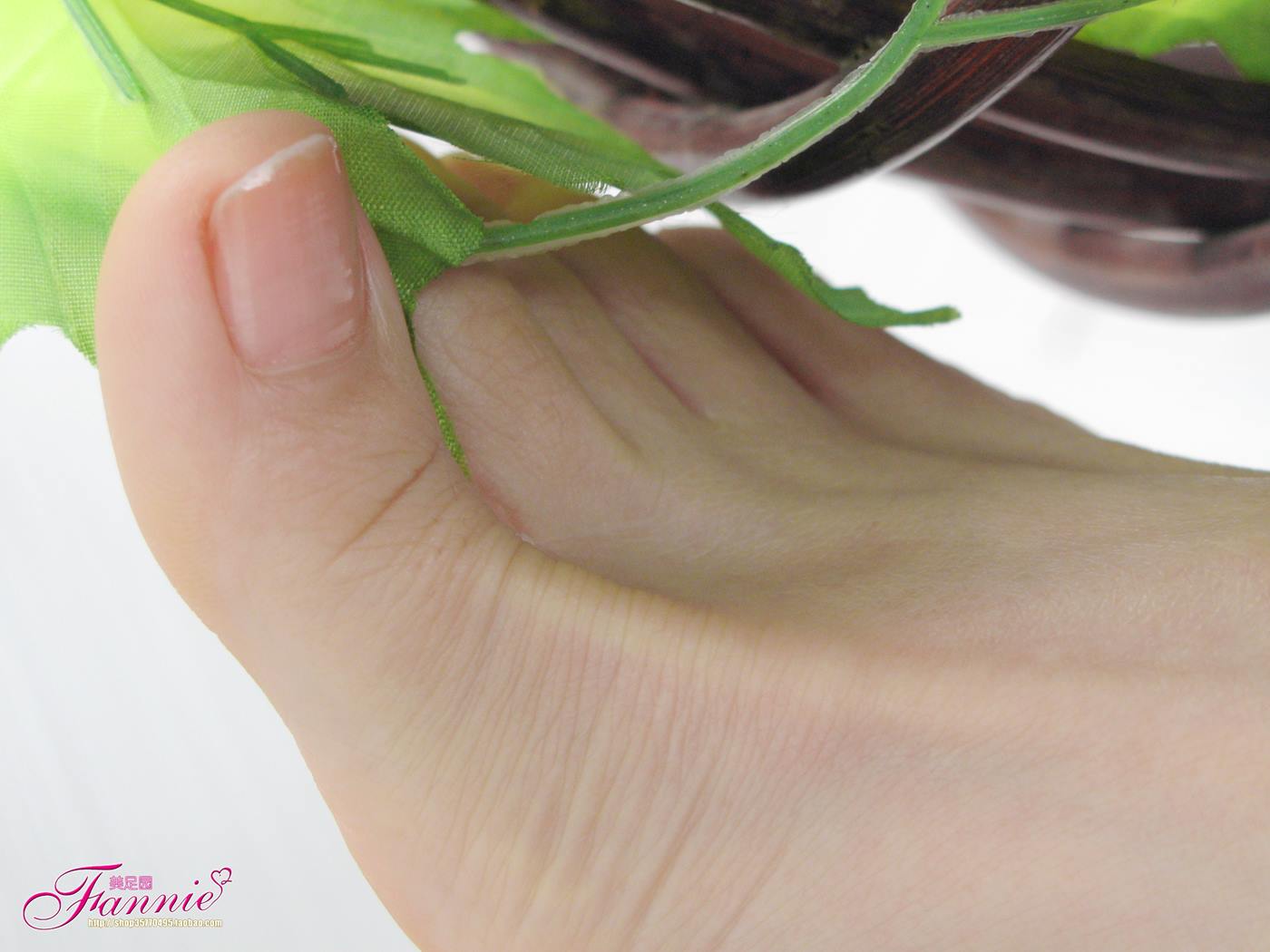 图片[10]-Fannie芬妮每足园 No.100 春日里的那抹新绿（下） [112P] – 速更版-美库