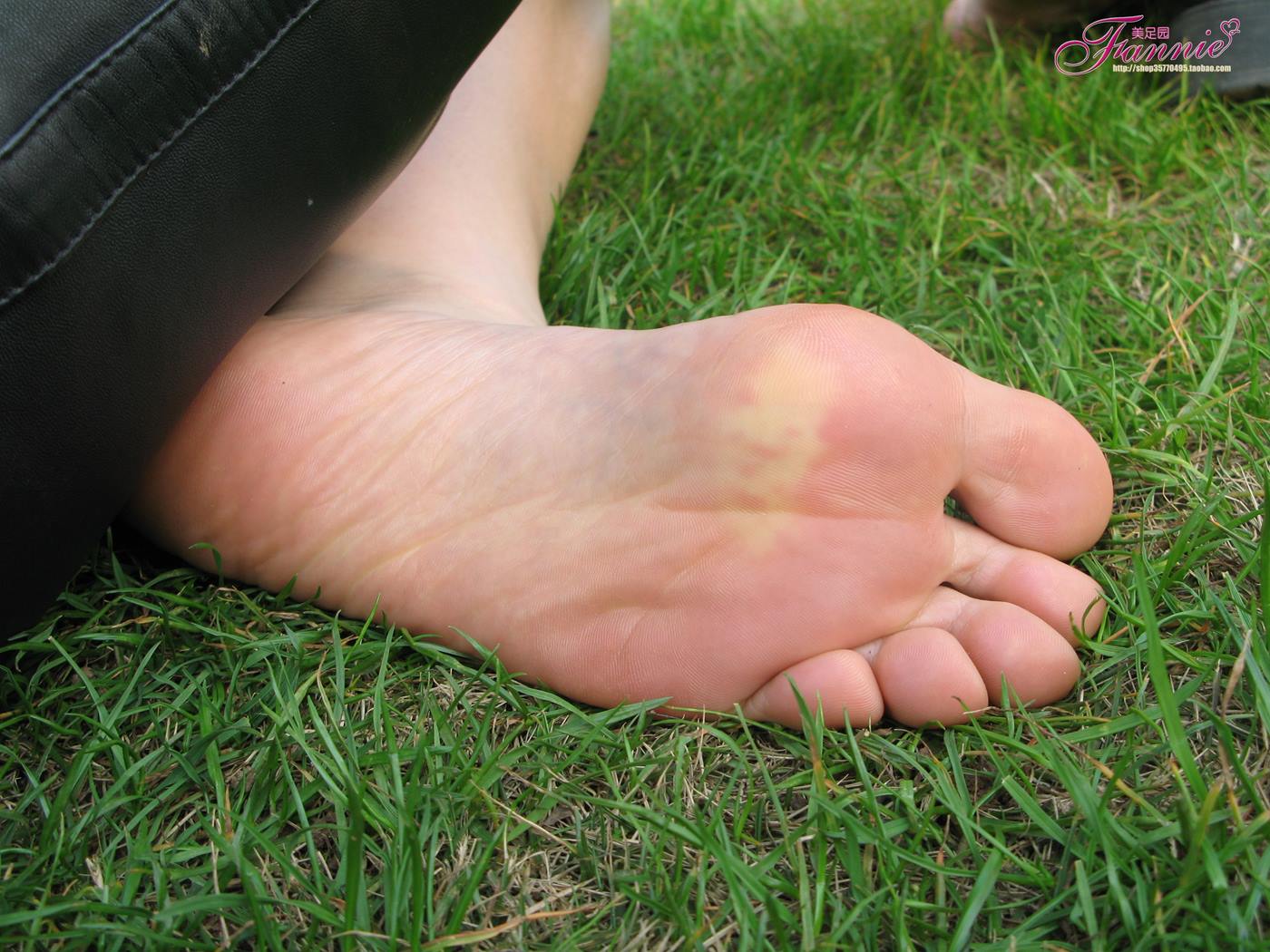 图片[59]-Fannie芬妮每足园 No.098 春日里的那抹桃红 [77P] – 速更版-美库