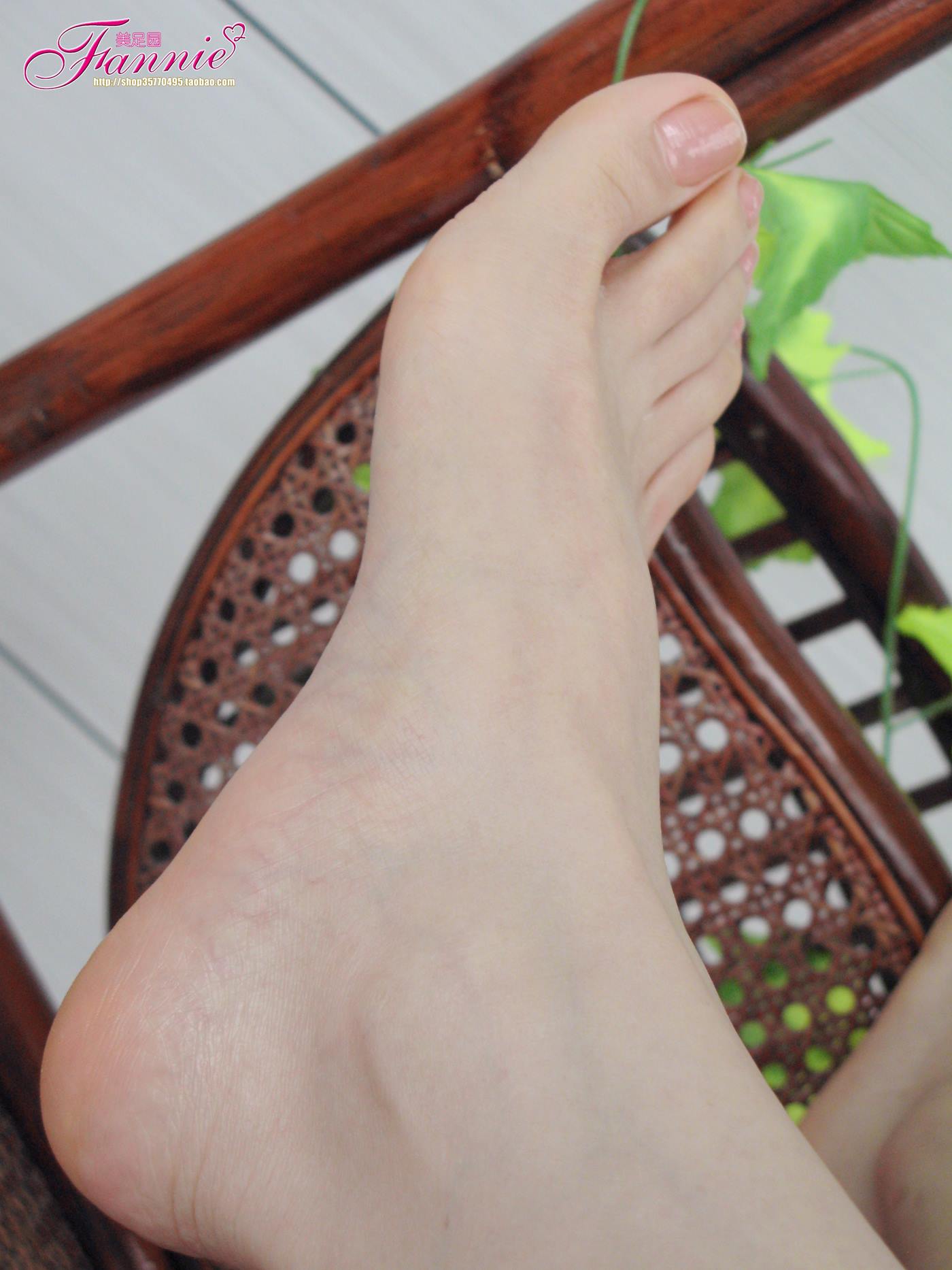 图片[53]-Fannie芬妮每足园 No.100 春日里的那抹新绿（下） [112P] – 速更版-美库