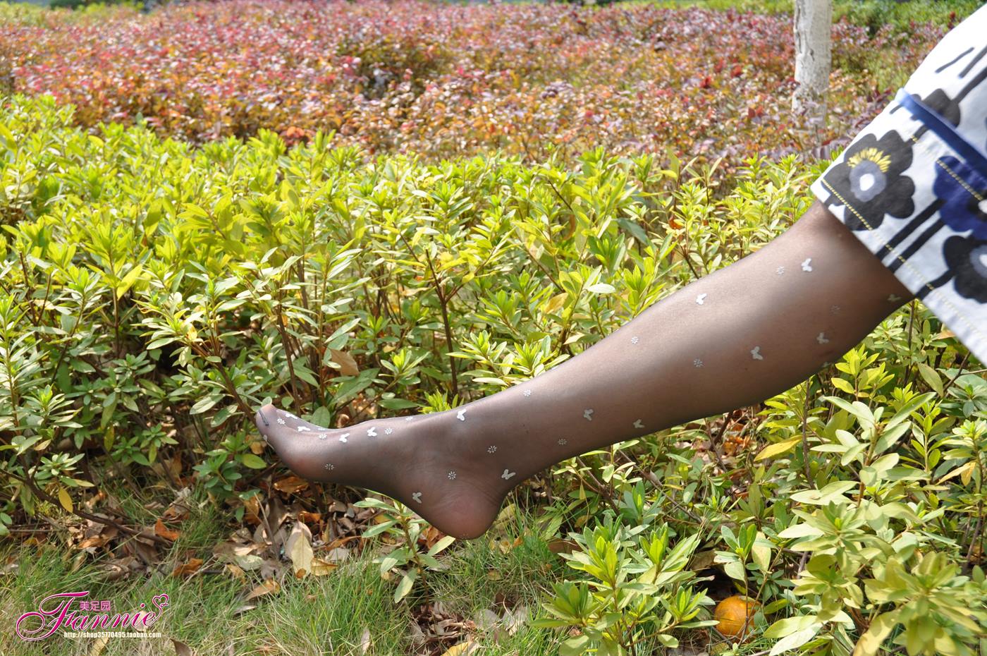 图片[50]-Fannie芬妮每足园 No.102 蝴蝶飞扬 黑丝 [83P] – 速更版-美库