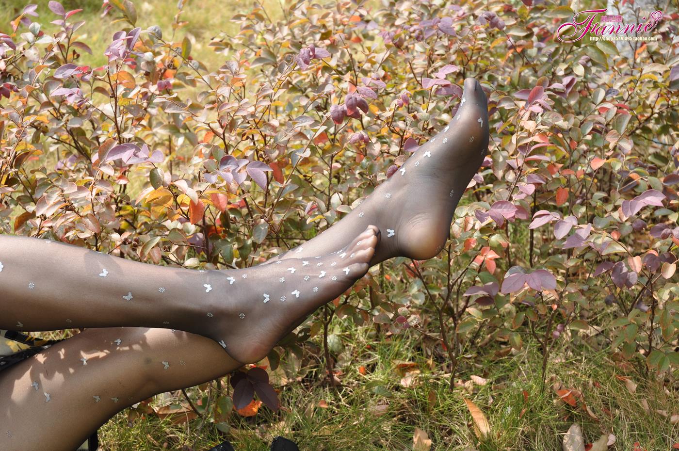 图片[54]-Fannie芬妮每足园 No.102 蝴蝶飞扬 黑丝 [83P] – 速更版-美库