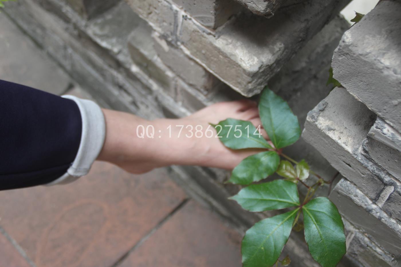 图片[68]-FCMZ原创学生足模摄影 No.039 肉肉 [152P] – 速更版-美库