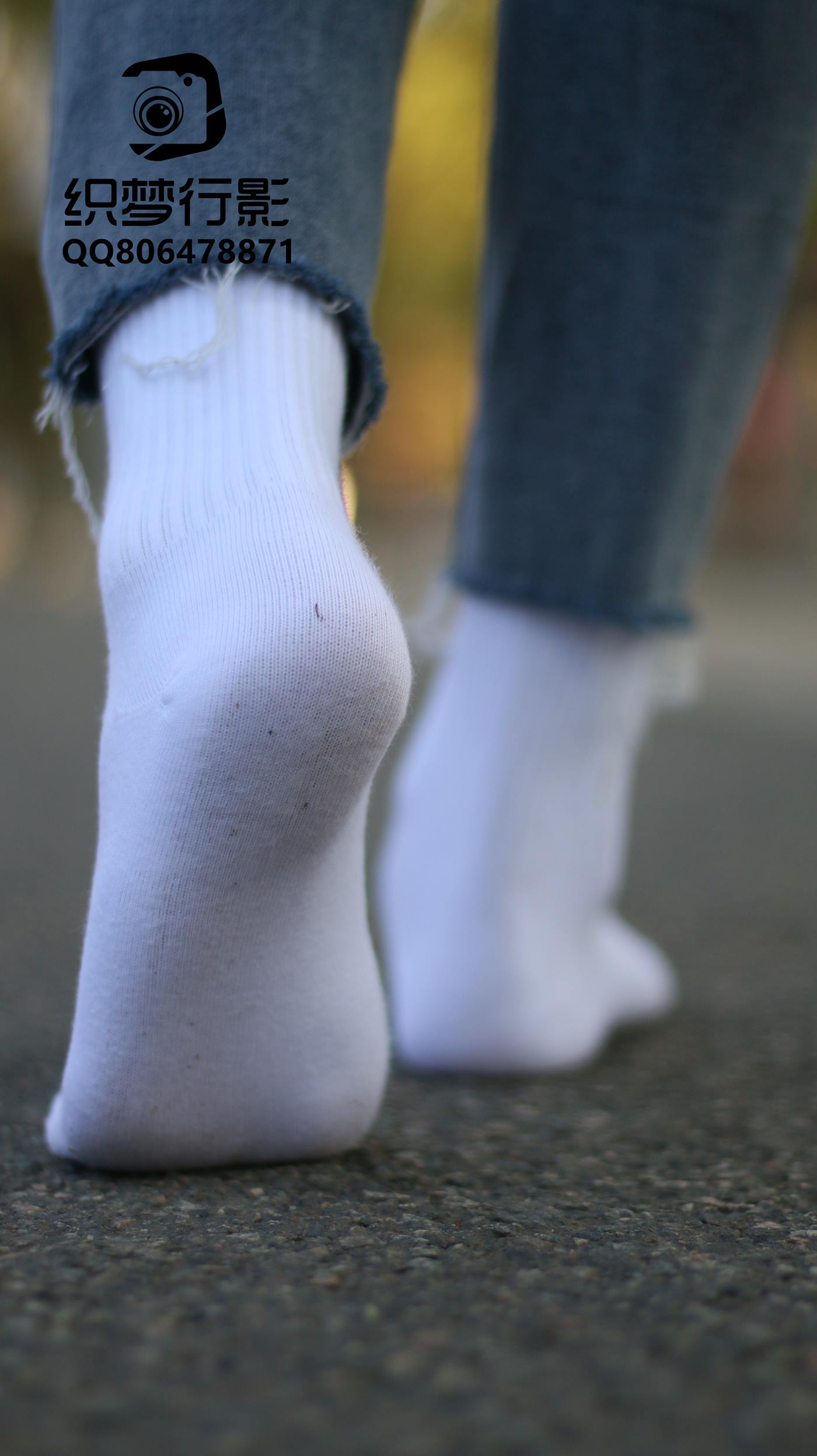 图片[48]-[织梦映像] NO.003-乐圆寻趣-人生得意须尽欢 [100P] – 速更版-美库