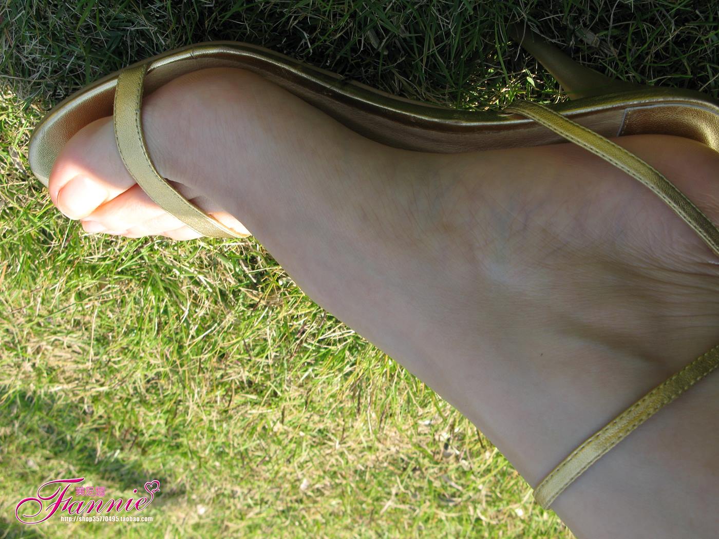 图片[57]-Fannie芬妮每足园 No.108 冬日暖阳5[95P] – 速更版-美库