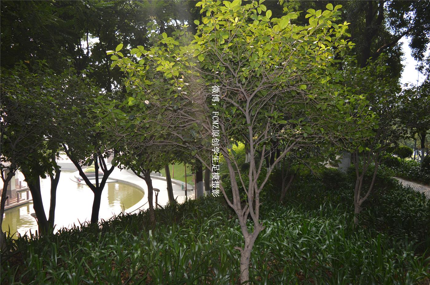 图片[24]-FCMZ原创学生足模摄影 No.052 欣慧慧 [227P] – 速更版-美库