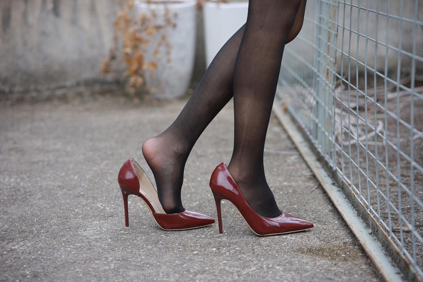 图片[63]-[IESS异思趣向] 2022.12.09 丝享家1293：美子《酒红高跟鞋》[77P] – 速更版-美库