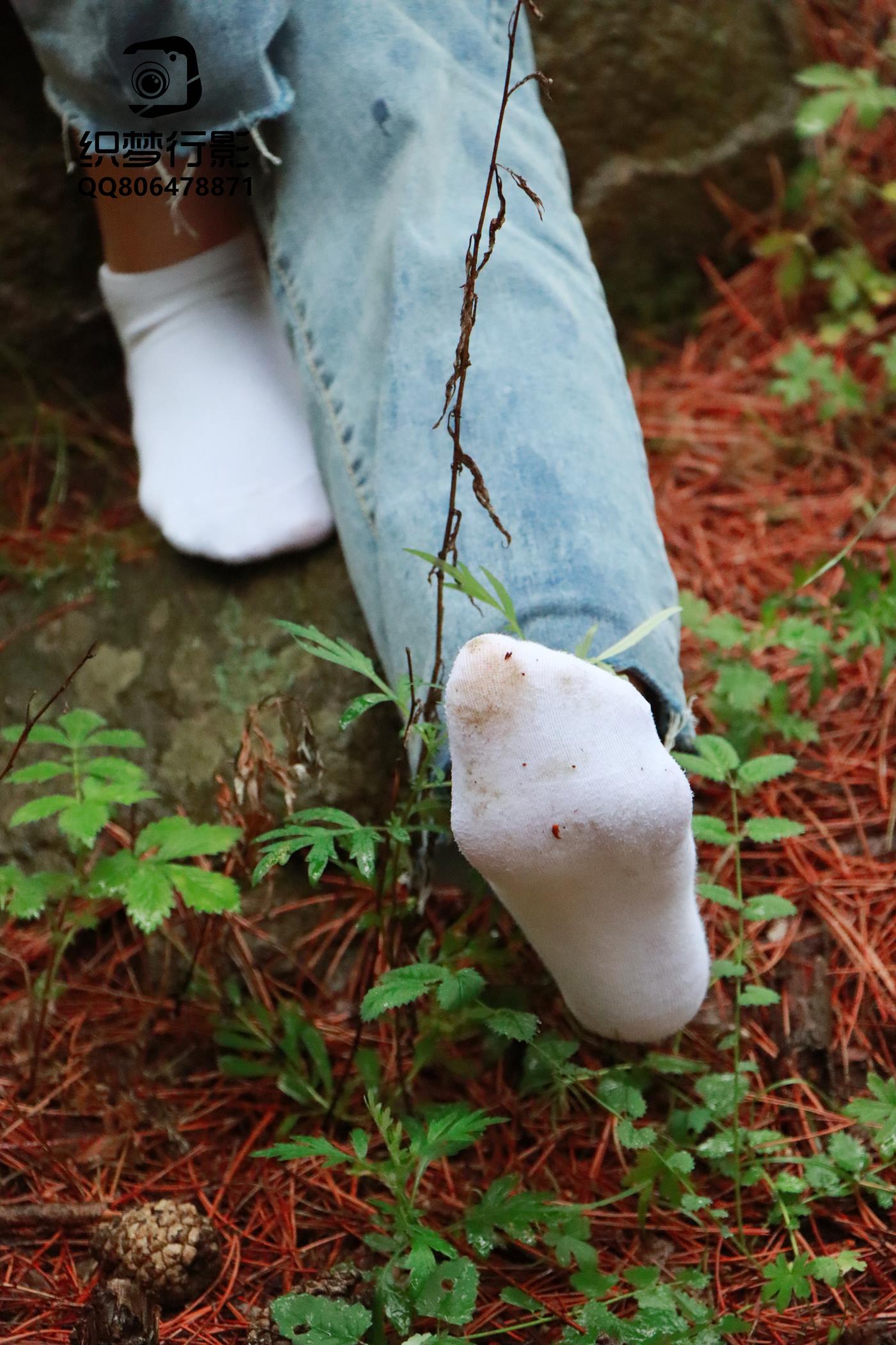 图片[55]-[织梦映像] NO.010-魔法森林-细雨随风燕泥香 [100P] – 速更版-美库