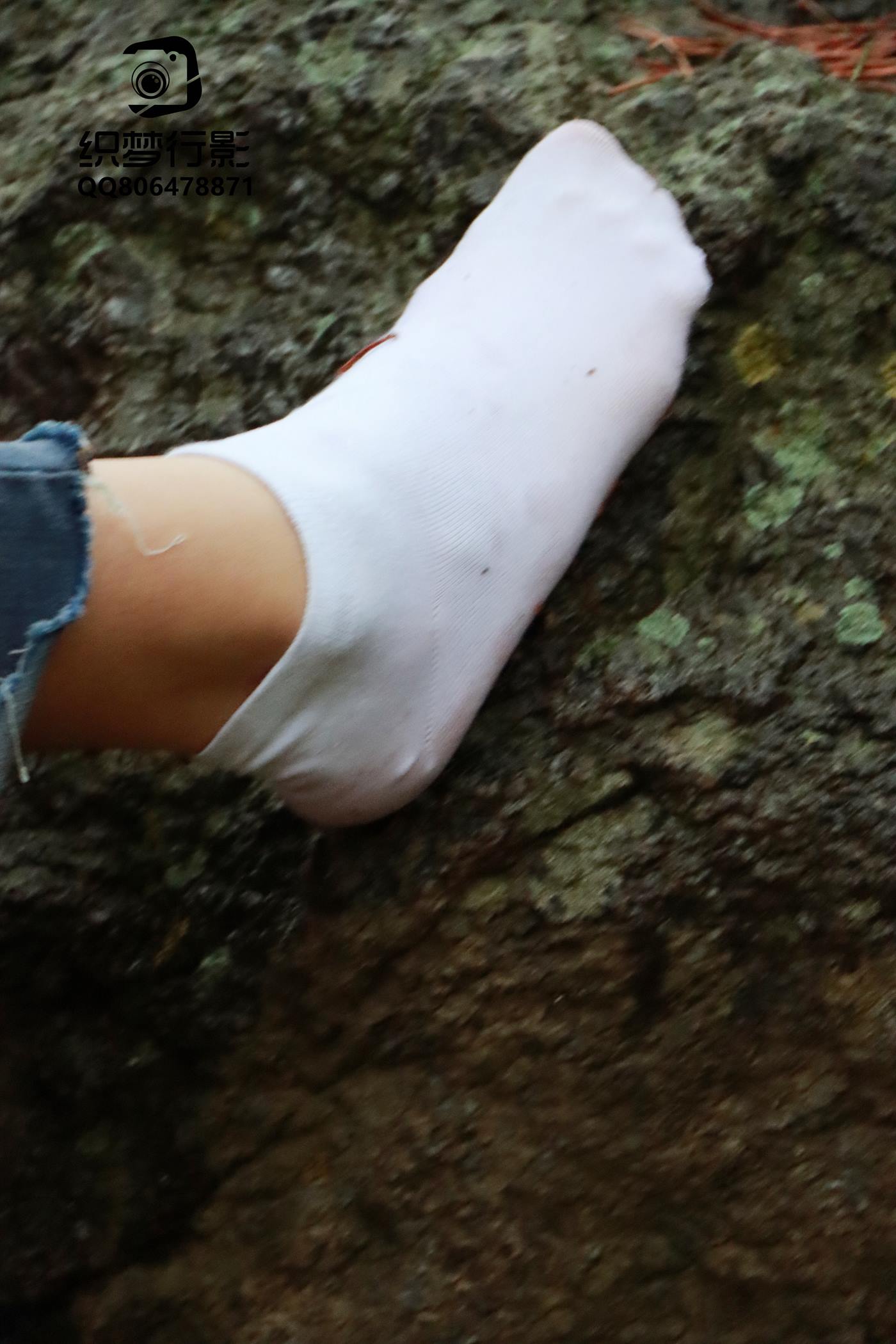 图片[85]-[织梦映像] NO.010-魔法森林-细雨随风燕泥香 [100P] – 速更版-美库