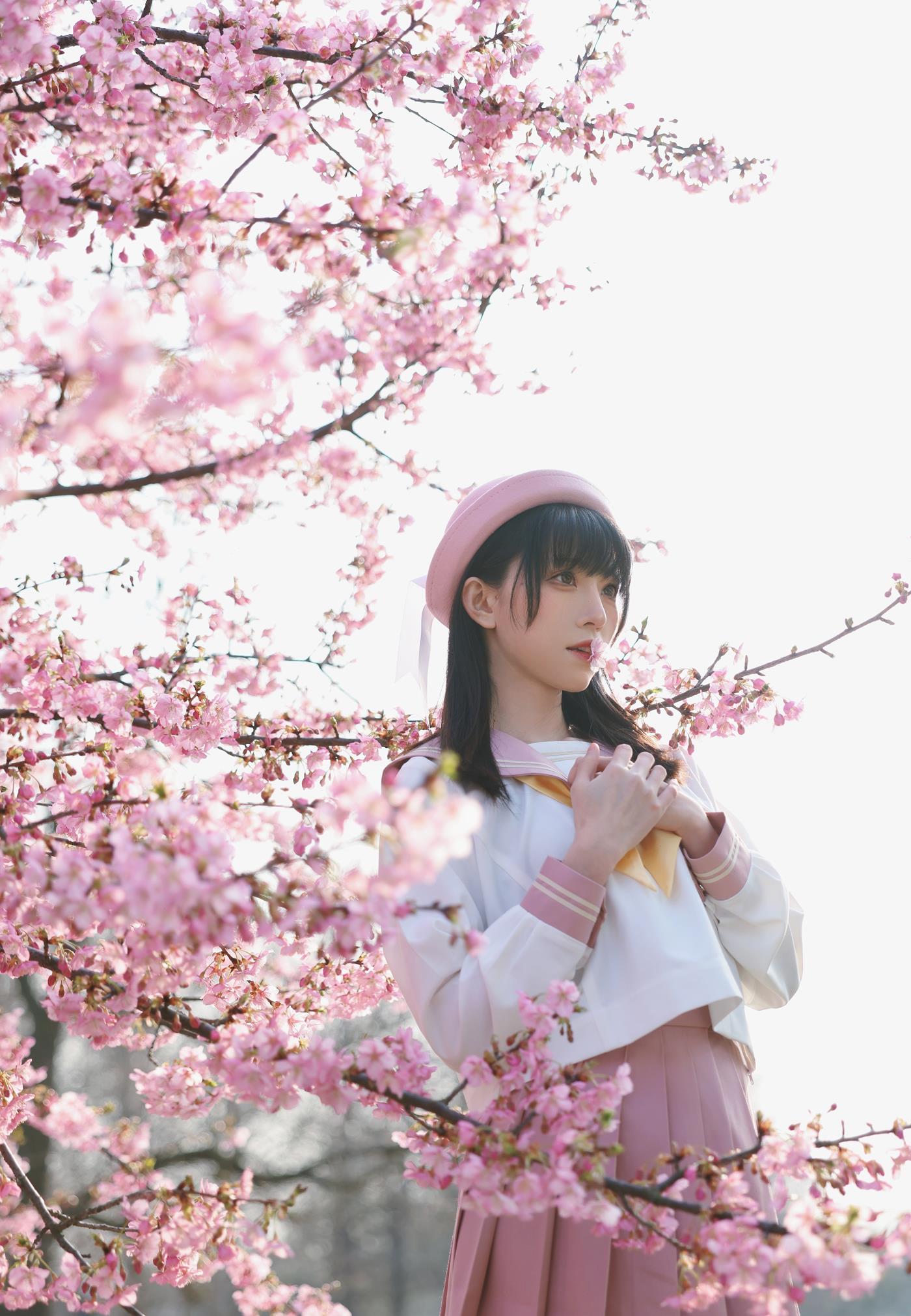 图片[14]-绮太郎Kitaro – 樱花[18P] – 速更版-美库