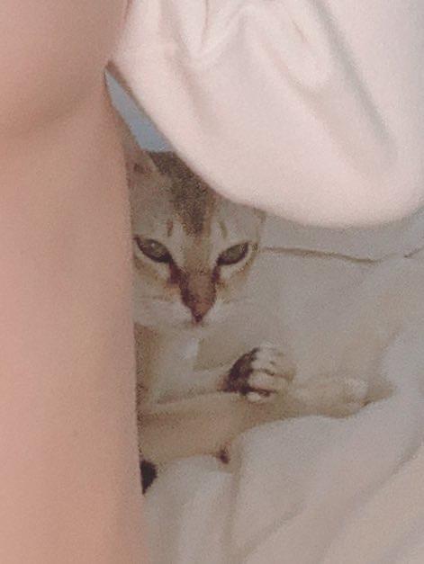 图片[53]-网紅Coser@.けん研(けんけん) Fantia-2020年5月合辑[84P] – 速更版-美库