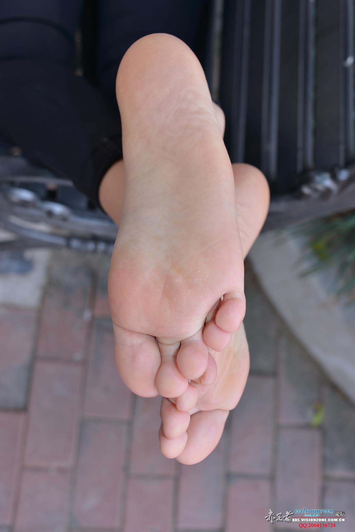 图片[51]-Ecologygreen摄影作品 NO.119 拥有傲人上围的大白脚 [75P] – 速更版-美库