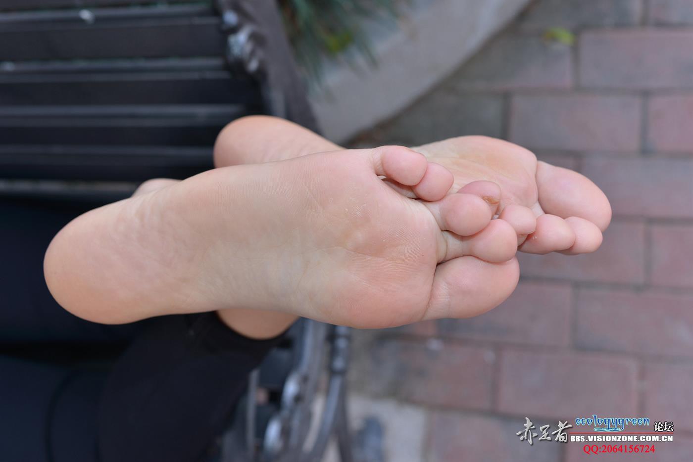 图片[52]-Ecologygreen摄影作品 NO.119 拥有傲人上围的大白脚 [75P] – 速更版-美库