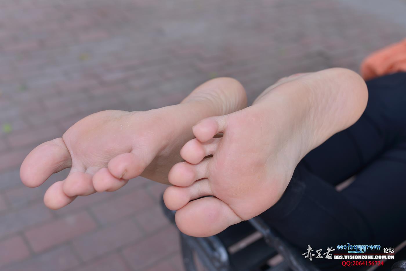 图片[58]-Ecologygreen摄影作品 NO.119 拥有傲人上围的大白脚 [75P] – 速更版-美库