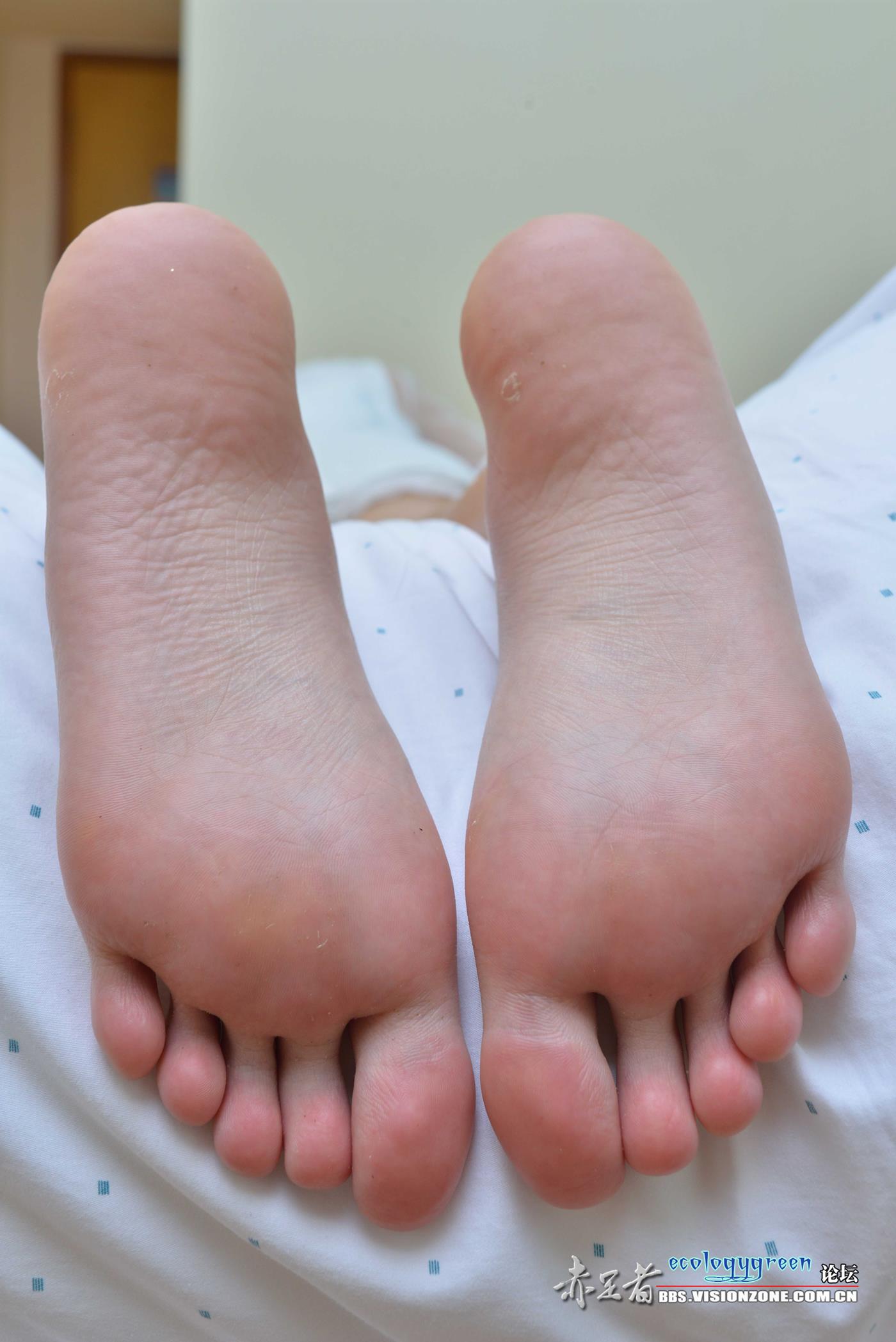 图片[57]-Ecologygreen 127 致命足弓终极诱惑 [67P] – 速更版-美库