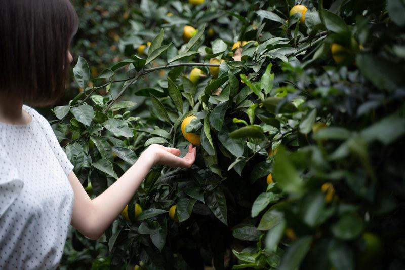 图片[57]-网紅Coser@.けん研(けんけん) Fantia-2020年12月合辑[101P] – 速更版-美库