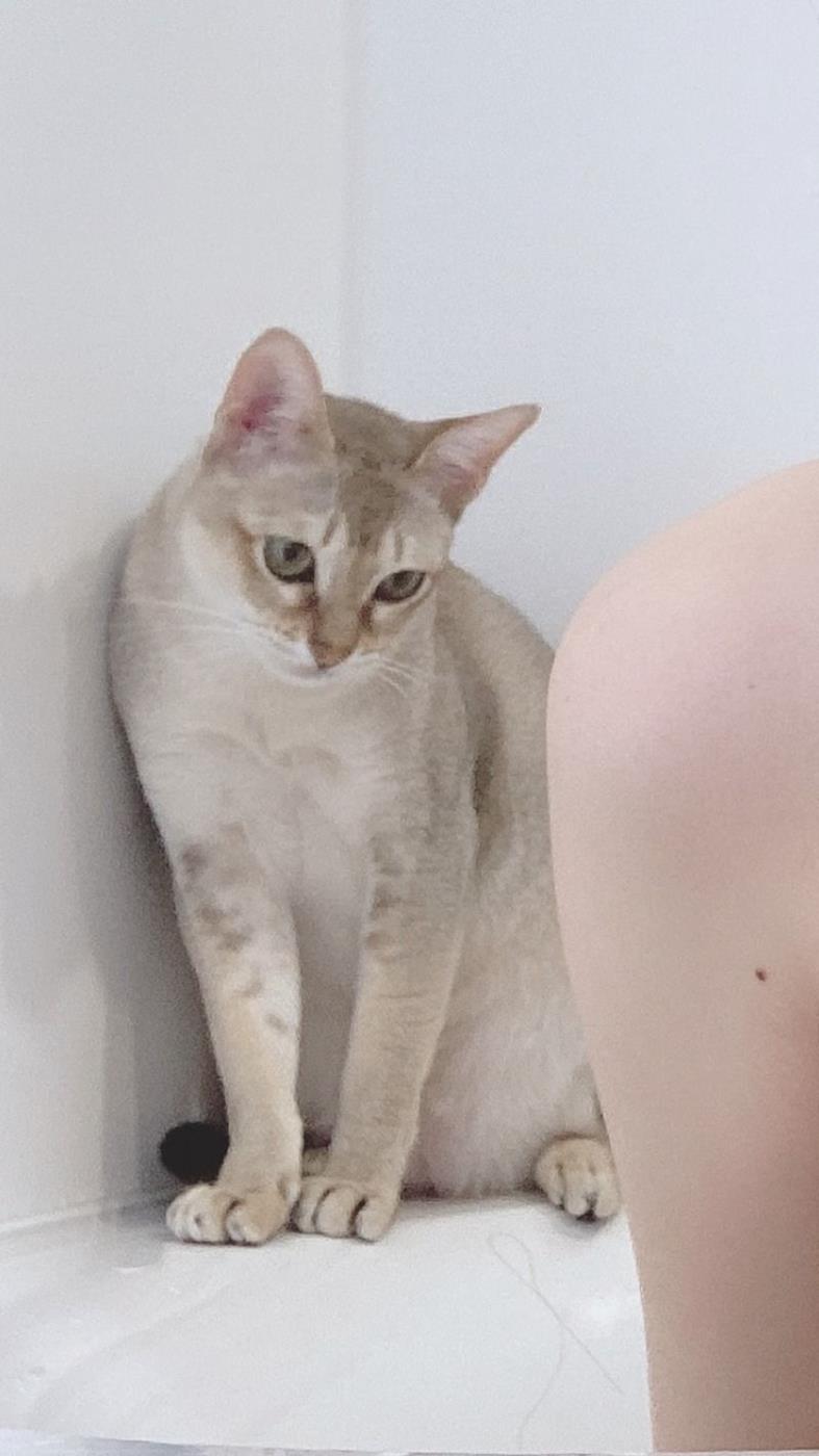 图片[58]-网紅Coser@.けん研(けんけん) Fantia-2021年1月合辑[62P] – 速更版-美库