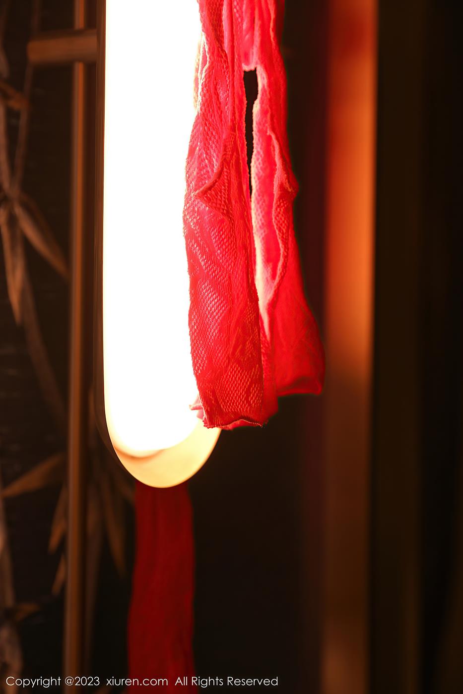 图片[14]-[Xiuren秀人网]2023.07.12 NO.7069 柚琪Rich[12+1P] – 速更版-美库