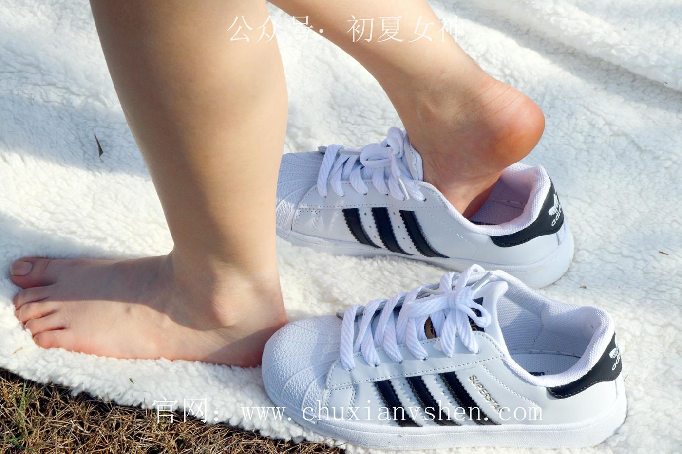 图片[94]-初夏女神 NO.019 念念 墨绿色JK搭配三叶草贝壳头鞋期[155P] – 速更版-美库