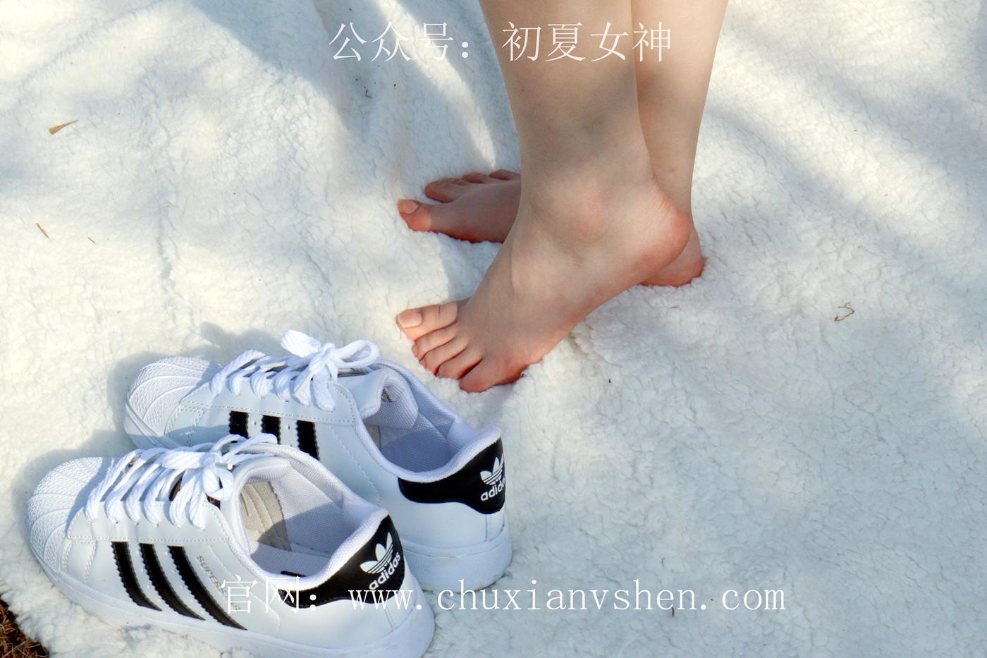 图片[126]-初夏女神 NO.019 念念 墨绿色JK搭配三叶草贝壳头鞋期[155P] – 速更版-美库