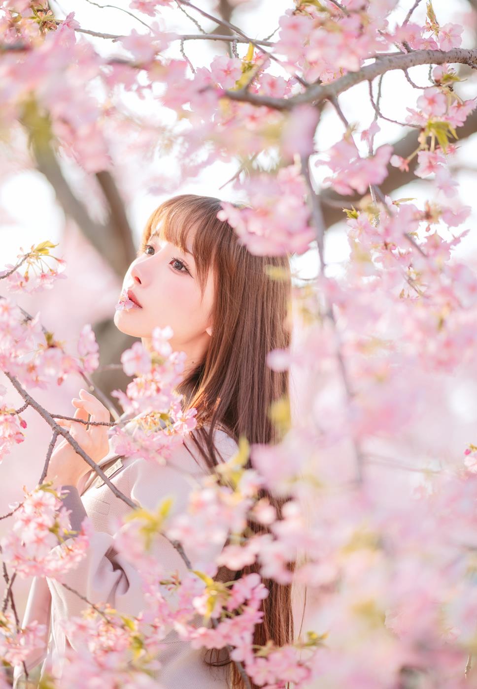 图片[11]-紫氯氯 – 樱花下的JK少女[18P] – 速更版-美库