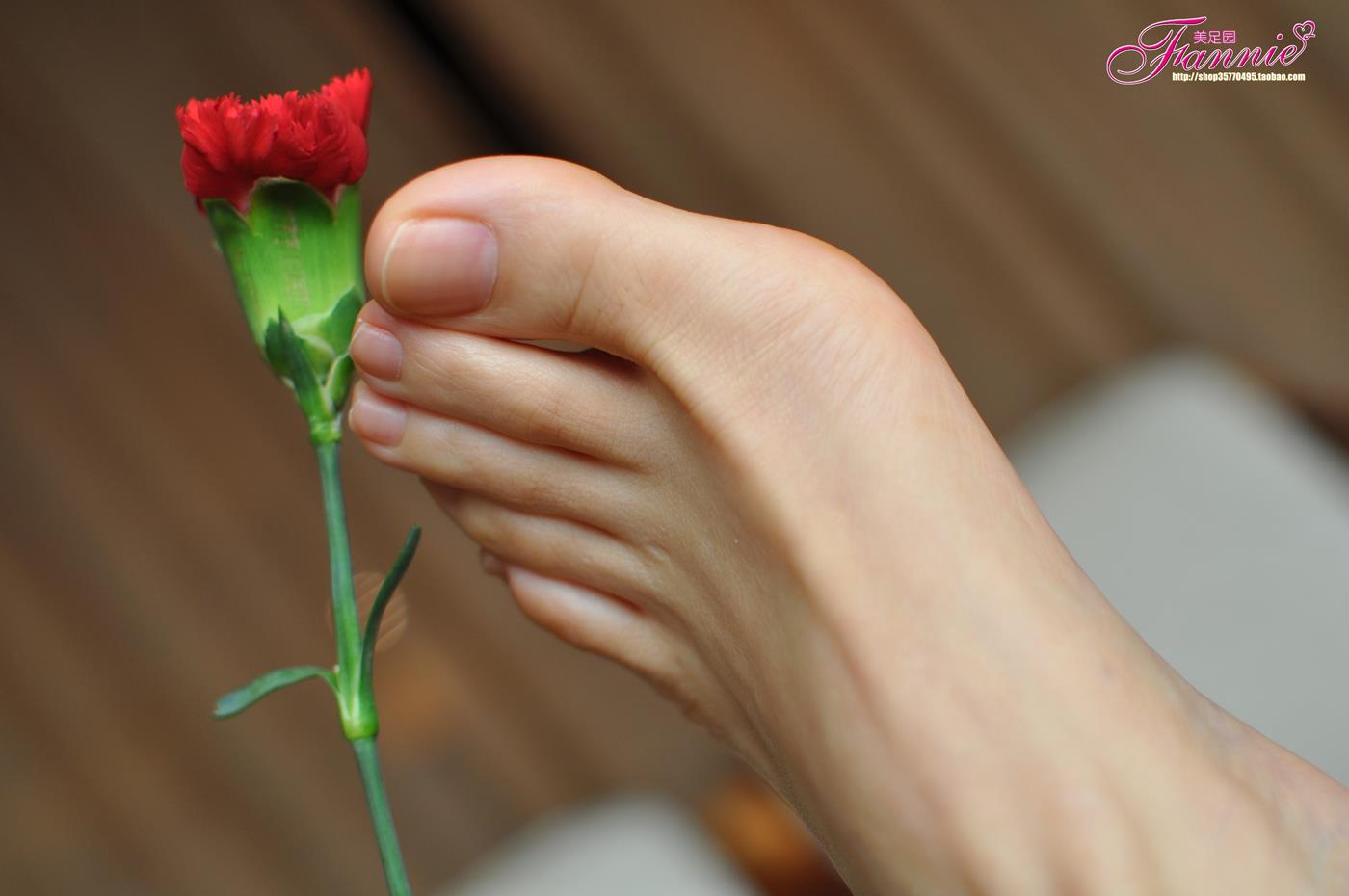 图片[49]-Fannie芬妮每足园 No.223 咖啡香的午后4 [81P] – 速更版-美库