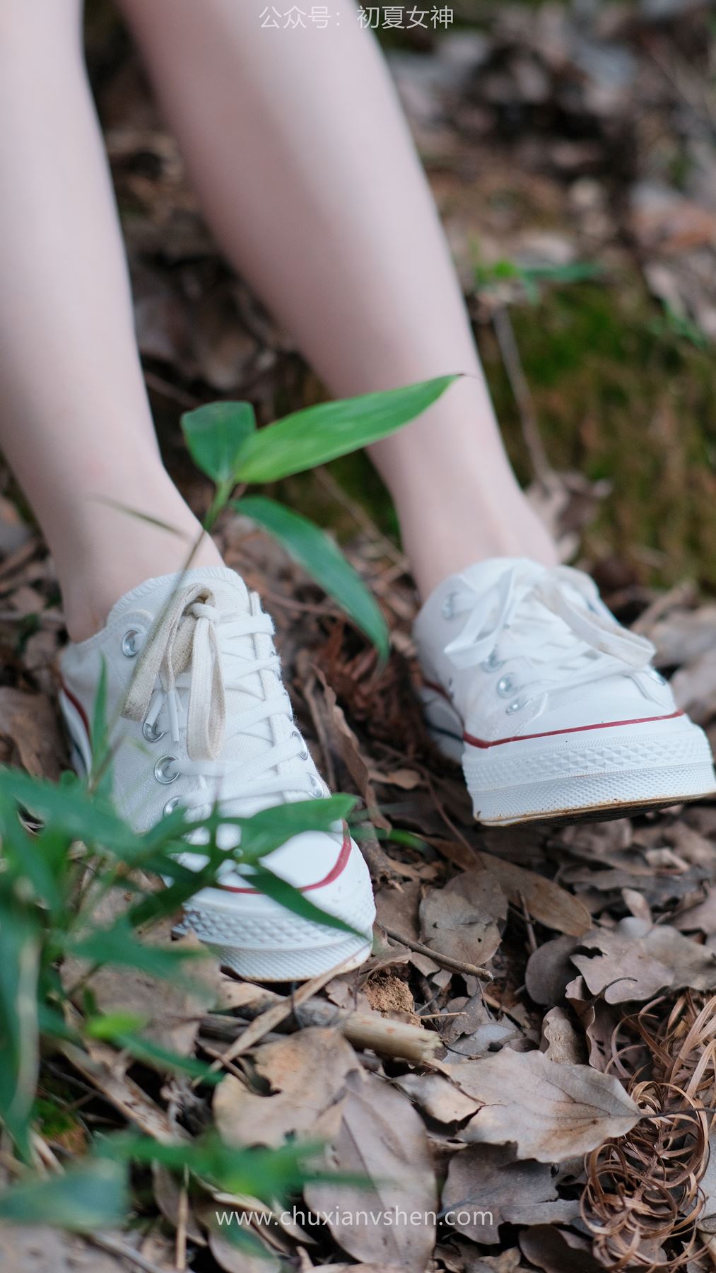 图片[47]-初夏女神 NO.044 点点&双双 姐妹出行[163P] – 速更版-美库