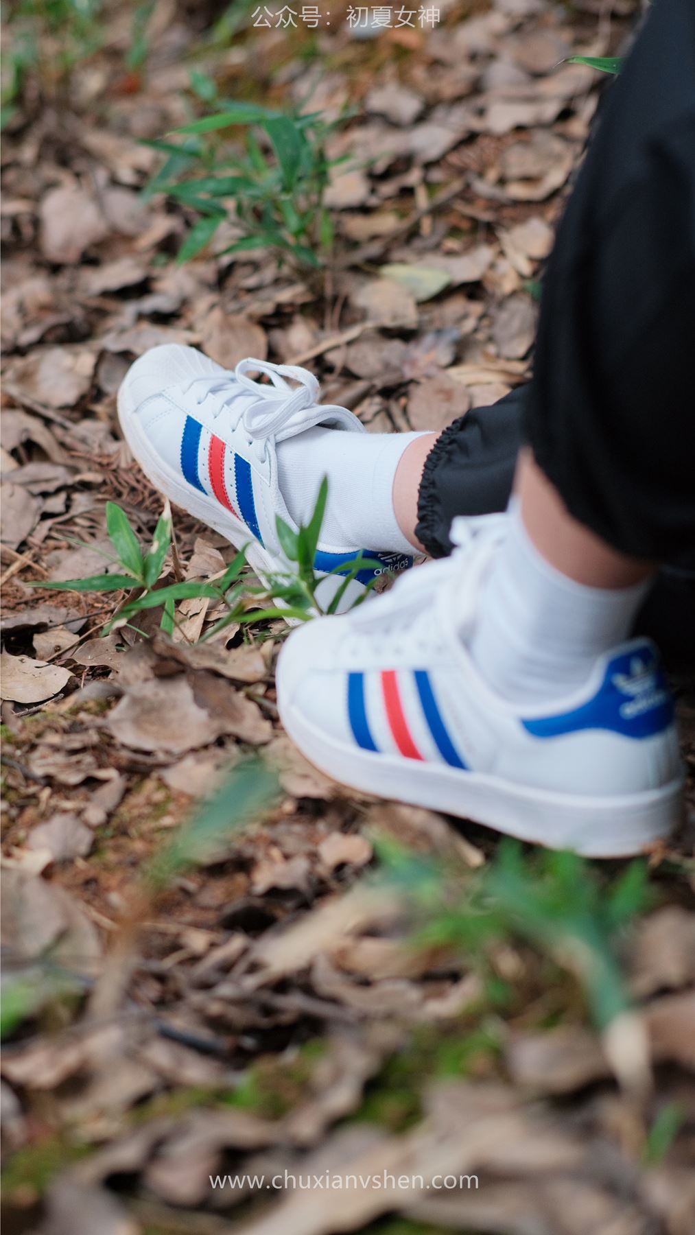 图片[53]-初夏女神 NO.044 点点&双双 姐妹出行[163P] – 速更版-美库