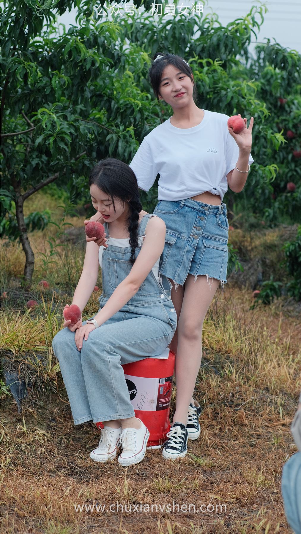 图片[11]-初夏女神 NO.046 双双&点点 桃园姐妹[172P] – 速更版-美库