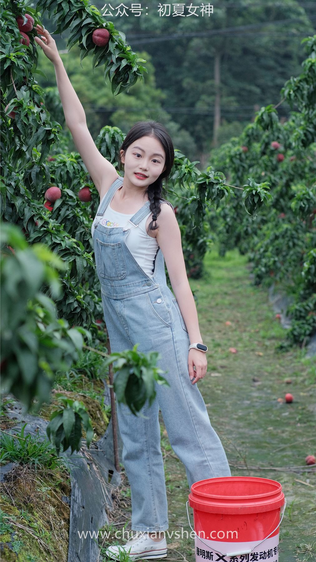 图片[14]-初夏女神 NO.046 双双&点点 桃园姐妹[172P] – 速更版-美库