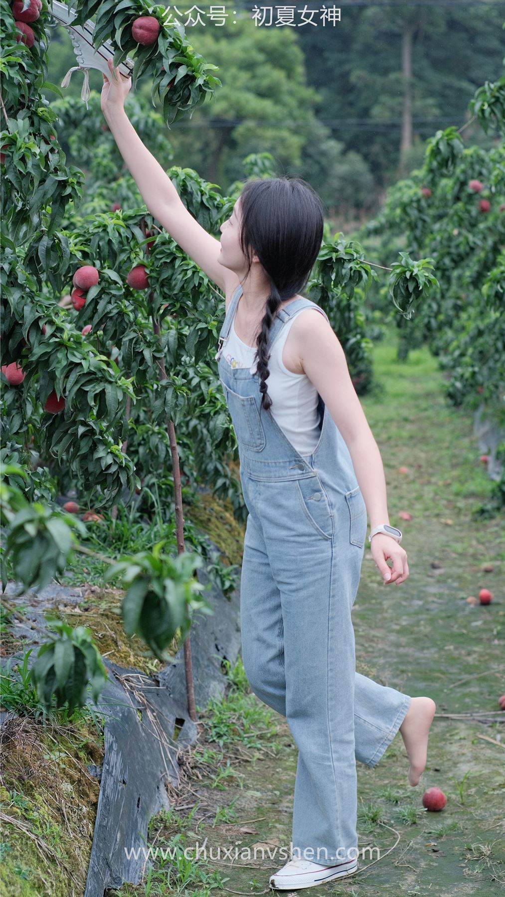 图片[18]-初夏女神 NO.046 双双&点点 桃园姐妹[172P] – 速更版-美库