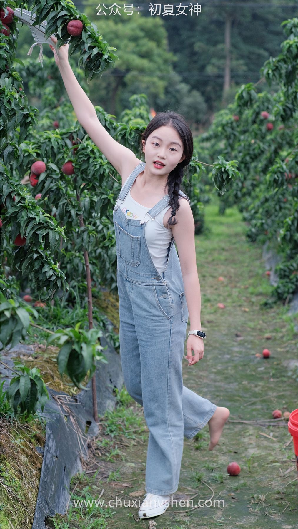 图片[19]-初夏女神 NO.046 双双&点点 桃园姐妹[172P] – 速更版-美库