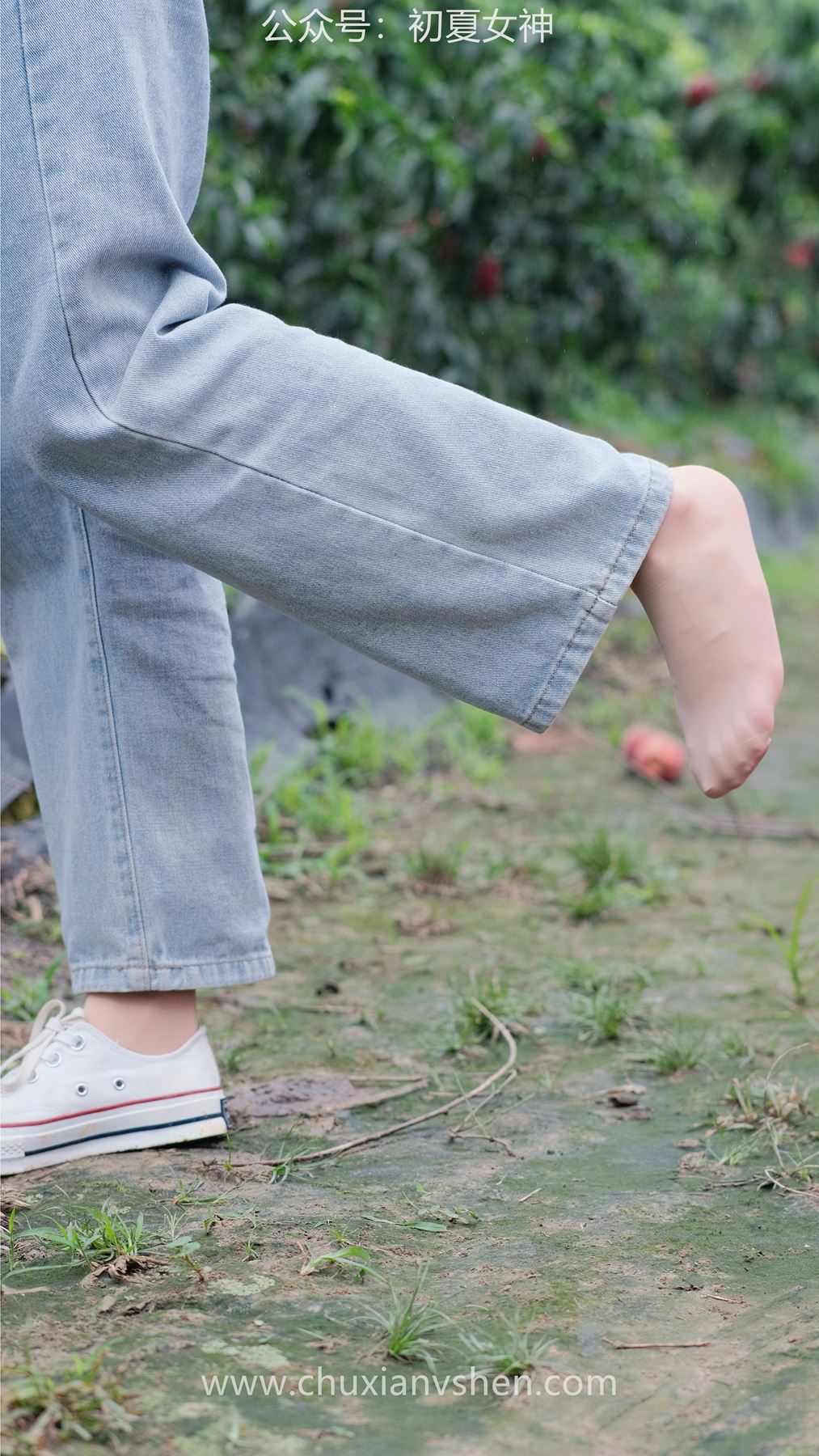 图片[27]-初夏女神 NO.046 双双&点点 桃园姐妹[172P] – 速更版-美库